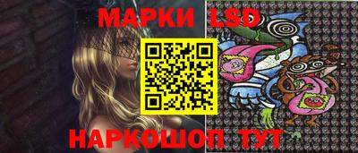 стафф Дубна