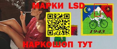 стафф Дубна