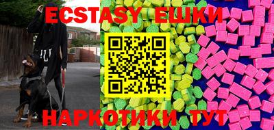 стафф Дубна
