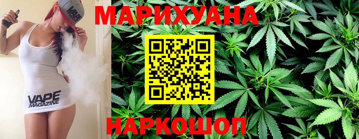Конопля конопля Майский